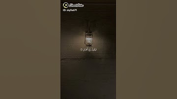 ايات من سورة الفجر للشيخ ماهر المعيقلي #اكسبلور #لايك #duet #دويتو #حالات_واتس #حالات_واتساب