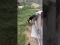 AC ripped of house after strong winds