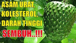 MENAKUTKAN!! Inilah Efek Samping Daun Sirsak Yang Mungkin Belum Anda Ketahui