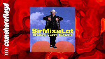 Sir Mix a Lot - Baby Got Back
