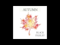 Autumn - by Black Paisley