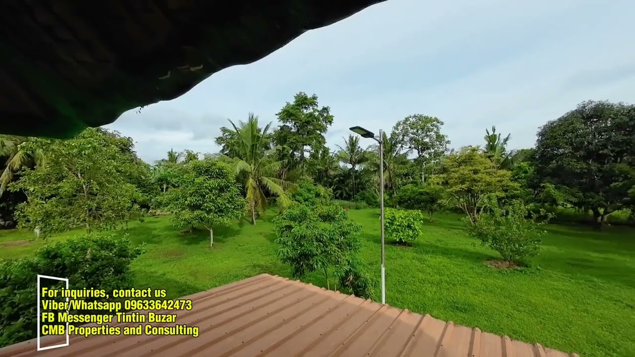 Property #8 | 1 hectare FarmLand with Modern Bahay Kubo | 11M | Sariaya, Quezon Province