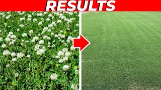 How to Kill Clover in the Lawn FAST! by Lawn Care Life 13,388 views 3 weeks ago 12 minutes, 31 seconds