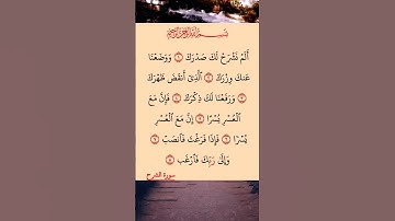 القرآن الكريم سورة الشرح احمد العجمي #القرآن_الكريم #راحة_نفسية #اطمئن