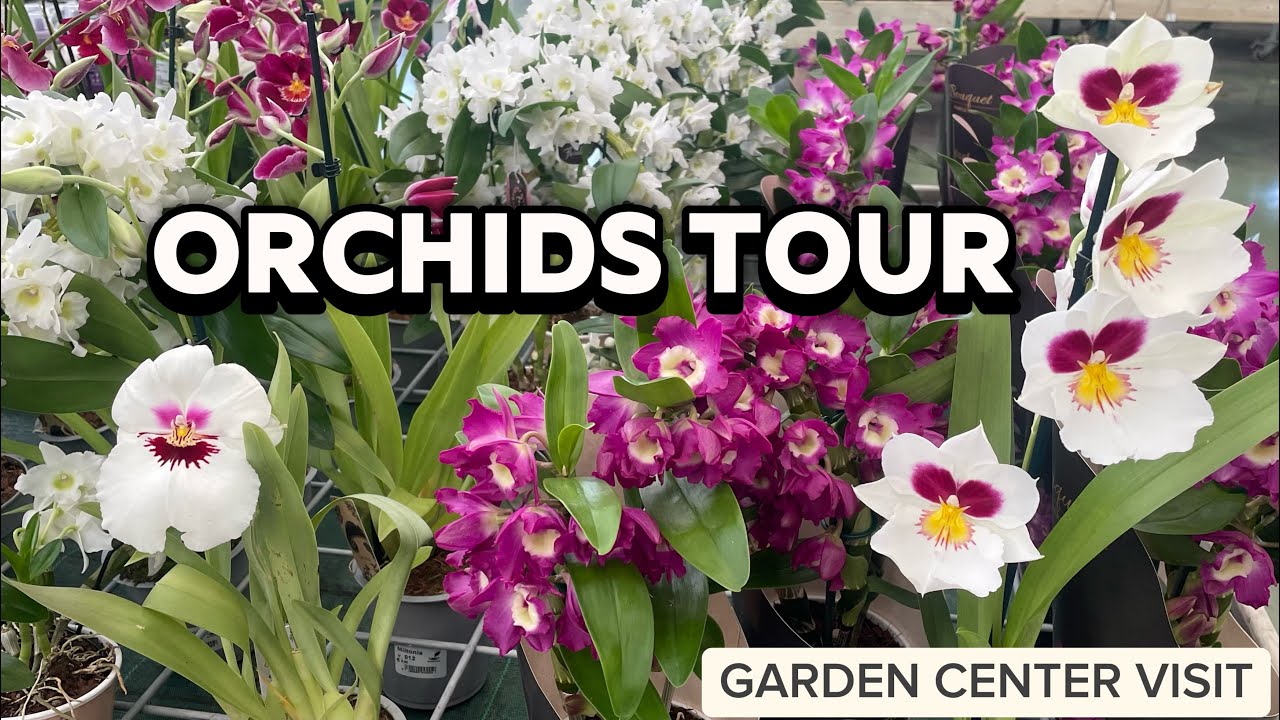 ORCHIDS TOUR | Garden Center Visit