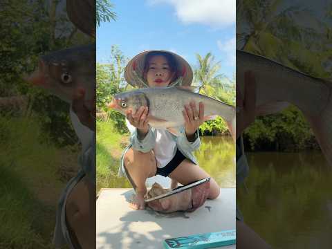 Cải tạo chồi câu cá và cái kết cho lần câu đầu tiên #vyhanfishing #caucathugian #caucatunhien