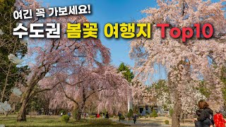 봄에 꼭 가봐야하는 수도권 봄꽃 명소 Top10 소개해 드립니다. 잘 알려지지 않은 명소도 많아요!