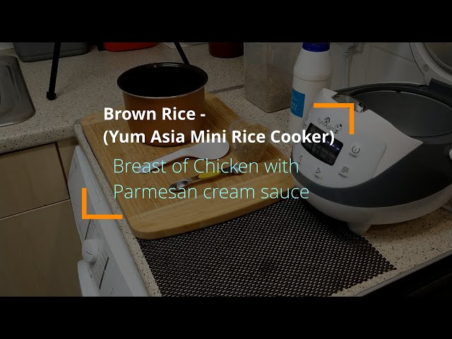 Brown Rice (Yum Asia Panda Mini Rice Cooker