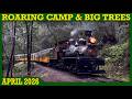 Rainy Day at Roaring Camp