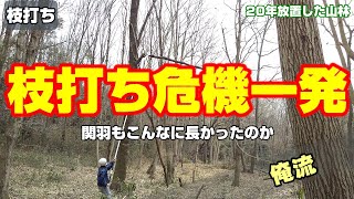 庭木の剪定におすすめできる高枝ノコギリ：枝打ち一発N-763