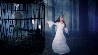 Video-Miniaturansicht von „Stevie Nicks - Secret Love (Official Music Video)“