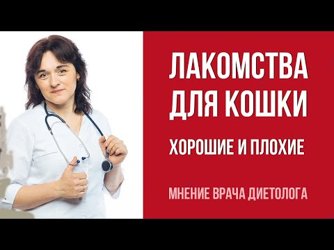 Обзор Вкусняшек Для Кошки От Ветеринара Диетолога