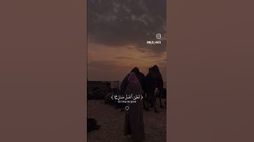سورة المؤمنون #ياسر_الدوسري #قرآن #islam #islamic #الجزائر #اسلام