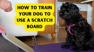 How to Train Your Dog to Use a Scratch Board to File Their Nails