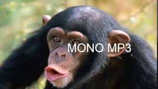 Mono.mp3