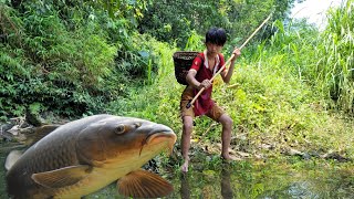Primitive fish catching skills, the wandering boy caught a super huge carp.| wandering boy