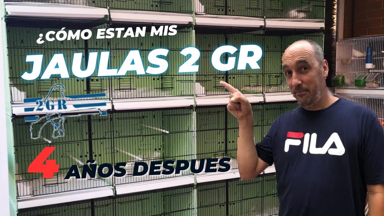 MIS JAULAS DE 2GR DESPUES DE 4 AÑOS DE USO
