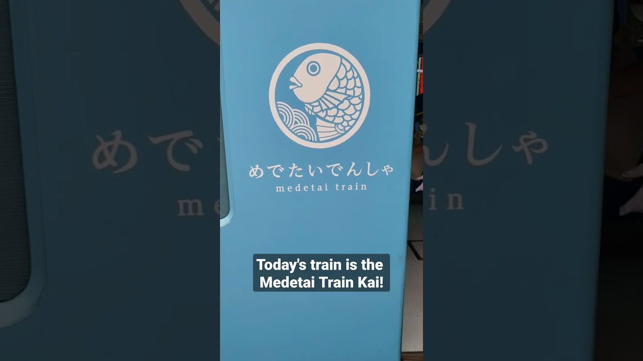 Japan's Nankai Themed train 🇯🇵! Medetai Train! Wakayama Pref.