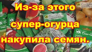 Накупила семена лучших сортов из за одного нужного сорта огурца