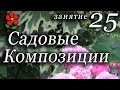 Составляем композиции из растений в саду. Часть 3. Курсы - ландшафтный дизайн, урок 25.