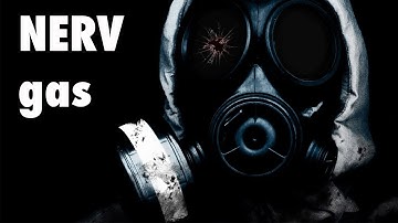 How to DDig Pro Tip #1 - Knowing Which Filings Go Together - NERV