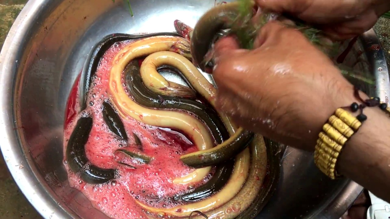 How to cooking Eagles | ការធ្វើម្ហូបស៊ុបអំពីអន្ទង់ | Cooking Eagles ...