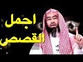اجمل 12 قصة واقعية مع الشيخ نبيل العوضي - لا يفوتك سماعها