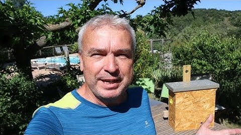 Bee bait hive design and our first bee swarm - ever. How to catch a swarm as a complete beginner.
