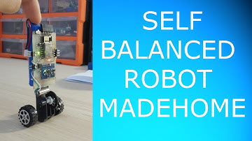 Two wheel balanced robot