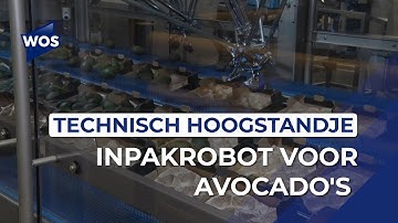 Technisch hoogstandje: inpakrobot voor avocado