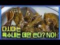 잘 몰랐던 다시마 요리, 다시마의 효능 #소랑도 #완도 (2011년제작) [어영차바다야]