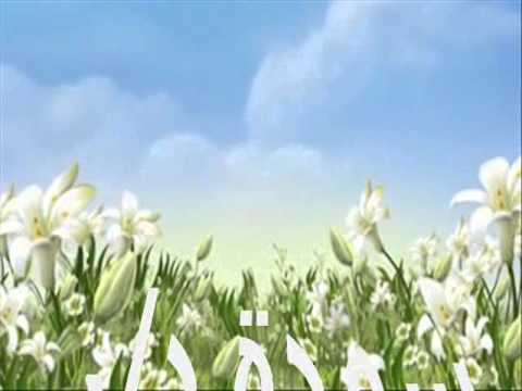 عازي سودة 0002