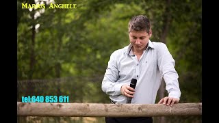 Marius Anghele - Colaj Muzicaa Moldoveni La Petrecere 2017