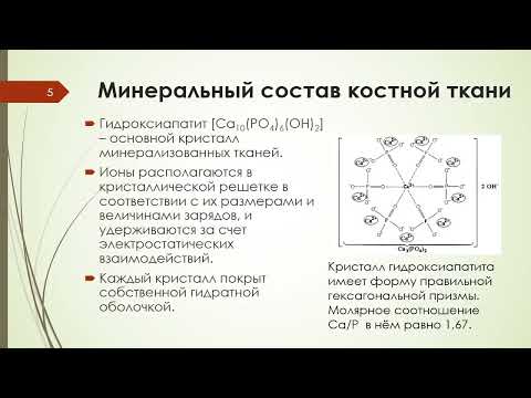 Биохимия костной ткани