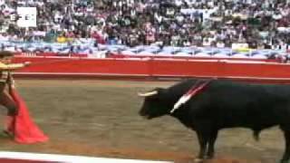 Cuatro Orejas Para El Juli En La Última De Manizales