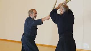 Shintô Ryû Kenjutsu - Musôkai, Suisse