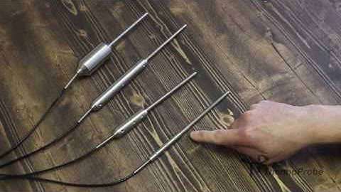ThermoProbe Probe Types