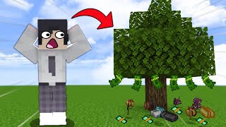 Minecraft But Trees Drop Epic Items!