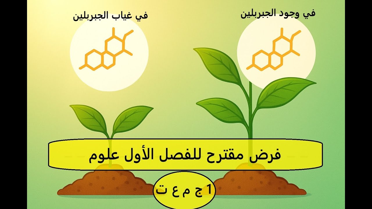 فرض مقترح علوم 1 ج م ع ت مع منهجية الإجابة