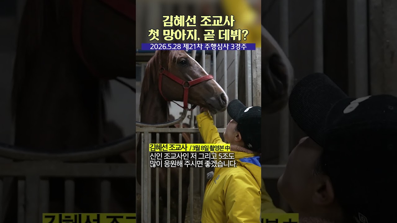 #김혜선 조교사 첫 신예마 #히어로히트 데뷔 임박?! #경마