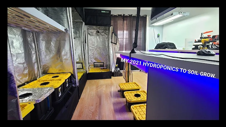 2021 Indoor Hydroponics to Outdoor Soil Pepper Gro...