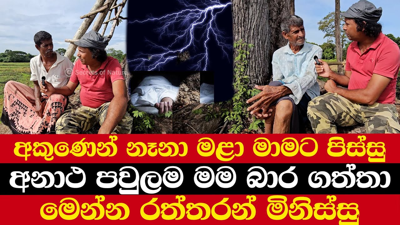 අකුණෙන් නෑනා මළා මාමට පිස්සු | අනාථ පවුලම මම බාර ගත්තා | මෙන්න රත්තරන් මිනිස්සු