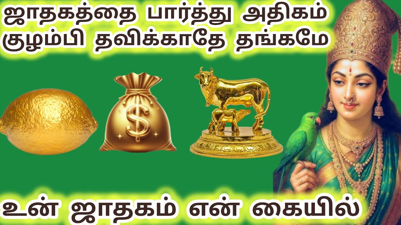 ஜாதகம் பார்த்து குழம்பி தவிக்காதே உன் ஜாதகம் என் கையில் மூன்றில் ஒன்றை தொடு #meenakshi #அம்மன் 