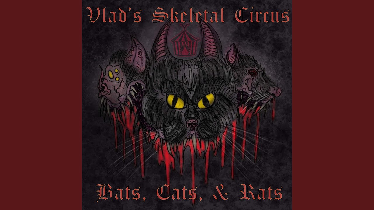 Bats, Cats, & Rats