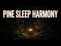 Cricket Sounds For Sleeping | Pitch Black Screen Sleep | Pine Forest Night Sounds | Zen Sleep Sounds