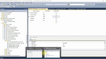 NGO Management System Part 53 Trial balance Accounts Ledger Balance Sheet Form C# C Sharp