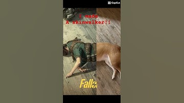 What my fallout character looks like. #skinwalker #shorts #dogshorts #dog