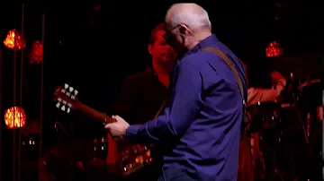 Mark Knopfler Live @ Madison Square Garden 2019 Revisited. Full concert.