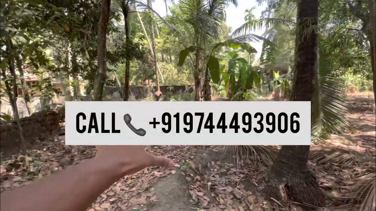 Best House Plots for sale at Chavakkad Muncipality// 2 KM to Guruvayoor