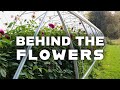 Hoop houses irrigation and the layout of our cut flower farm